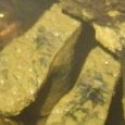 JPEG - 304.5 kio