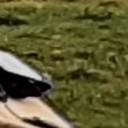 JPEG - 1.4 Mio