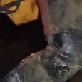 JPEG - 481.2 kio