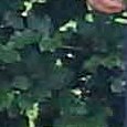 JPEG - 736.2 kio