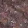 JPEG - 339.8 kio