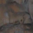 JPEG - 52.8 kio