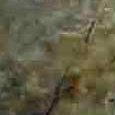 JPEG - 671.1 kio