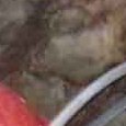 JPEG - 231.1 kio