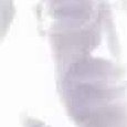 JPEG - 517.9 kio