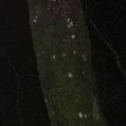 JPEG - 481.7 kio
