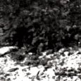 JPEG - 740.6 kio