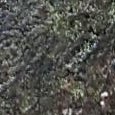 JPEG - 678.8 kio