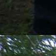 JPEG - 893.7 kio