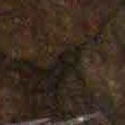 JPEG - 437.6 kio