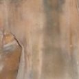 JPEG - 176.1 kio
