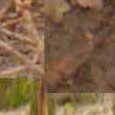 JPEG - 957.1 kio