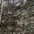 JPEG - 186.8 kio