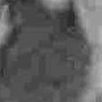 JPEG - 261.4 kio
