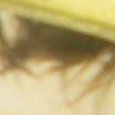JPEG - 214.4 kio