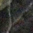 JPEG - 513.7 kio