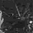 JPEG - 539.5 kio