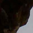 JPEG - 52.6 kio