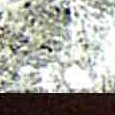 JPEG - 905.8 kio