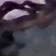 JPEG - 4.2 Mio