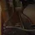 JPEG - 604.2 kio