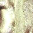 JPEG - 96.8 kio