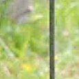 JPEG - 1019.6 kio