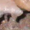 JPEG - 702.6 kio