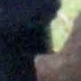 JPEG - 380.9 kio