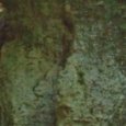 JPEG - 125.7 kio