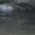 JPEG - 206.1 kio