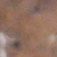 JPEG - 396.9 kio