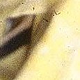 JPEG - 220.2 kio