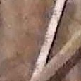 JPEG - 408.1 kio