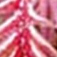 JPEG - 234.8 kio