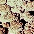 JPEG - 568.6 kio