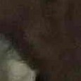 JPEG - 378.4 kio