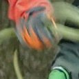 JPEG - 271.5 kio