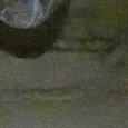 JPEG - 348.7 kio