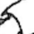 JPEG - 589.1 kio