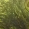 JPEG - 469.3 kio