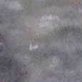 JPEG - 315 kio