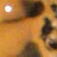 JPEG - 343.3 kio