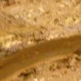 JPEG - 263.9 kio