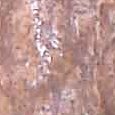 JPEG - 593.5 kio