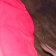 JPEG - 272.2 kio