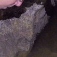 JPEG - 285.6 kio
