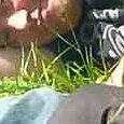 JPEG - 618.7 kio
