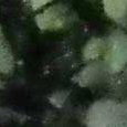 JPEG - 533.6 kio