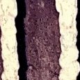 JPEG - 902.7 kio